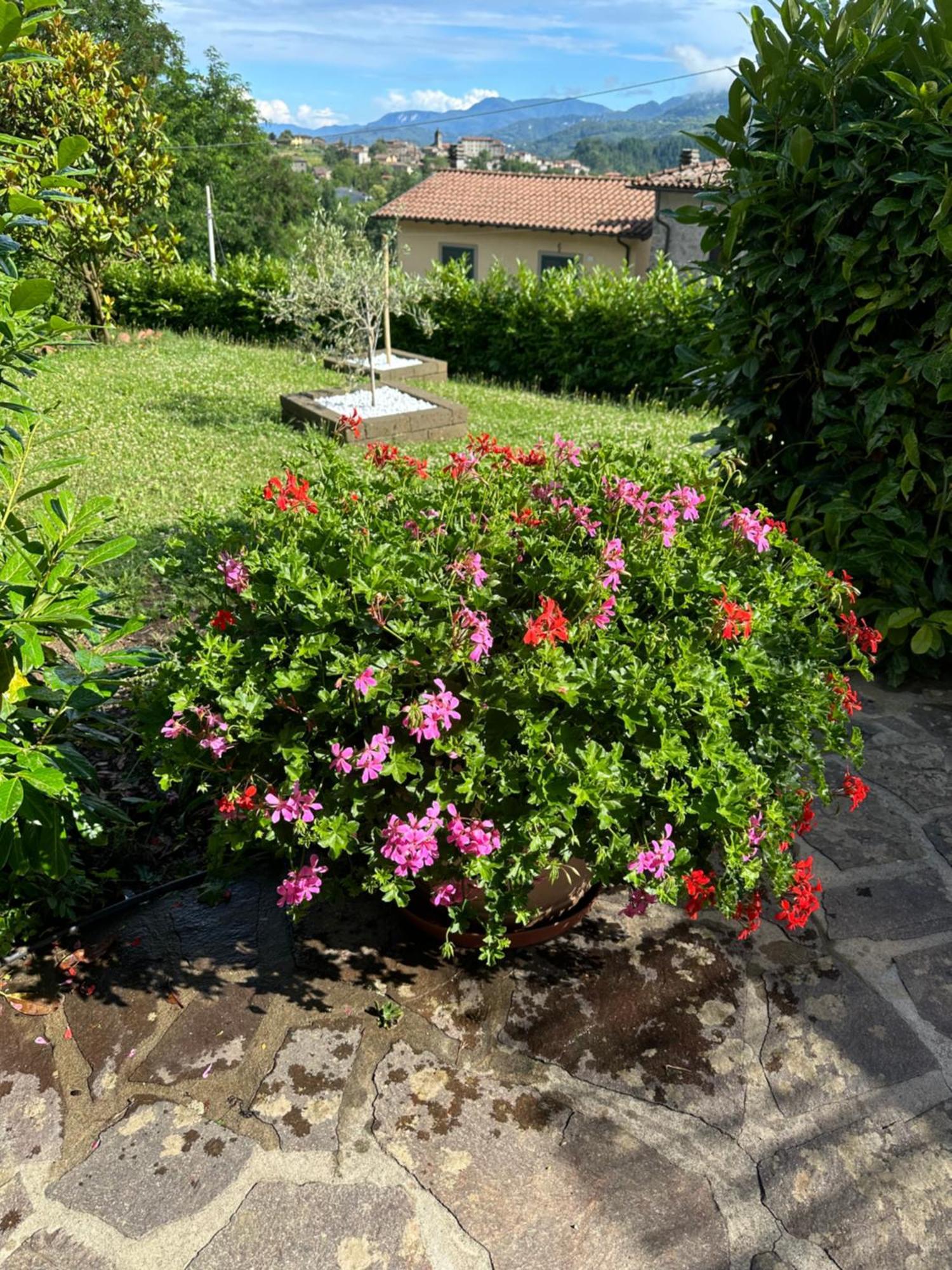 Casa Margherita Celide San Romano in Garfagnana Exterior photo